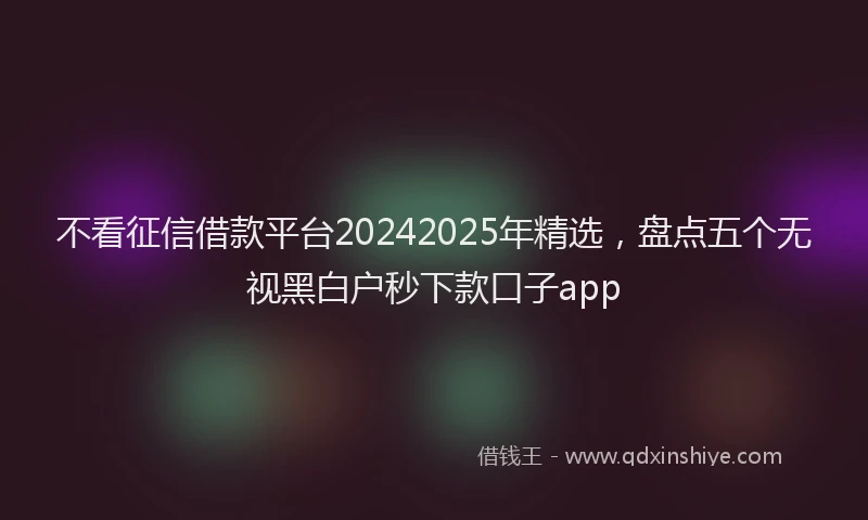 不看征信借款平台20242025年精选，盘点五个无视黑白户秒下款口子app