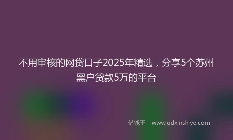不用审核的网贷口子2025年精选，分享5个苏州黑户贷款5万的平台