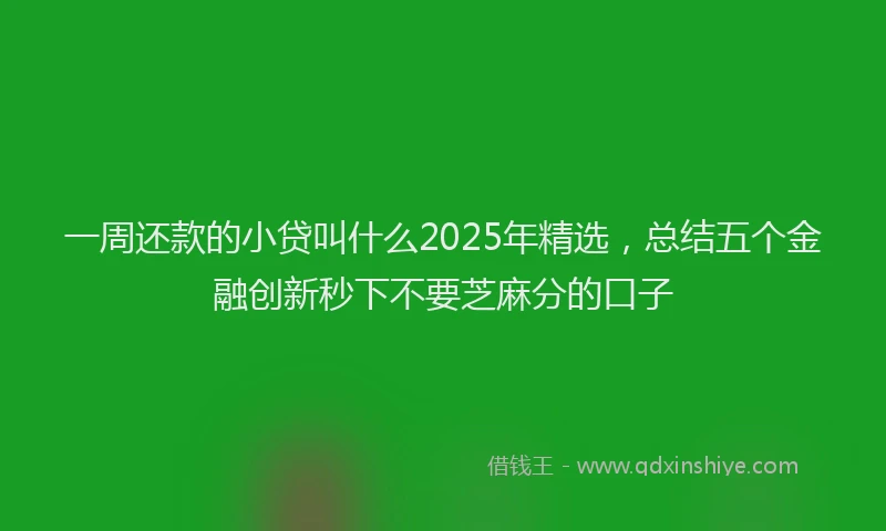 一周还款的小贷叫什么2025年精选，总结五个金融创新秒下不要芝麻分的口子