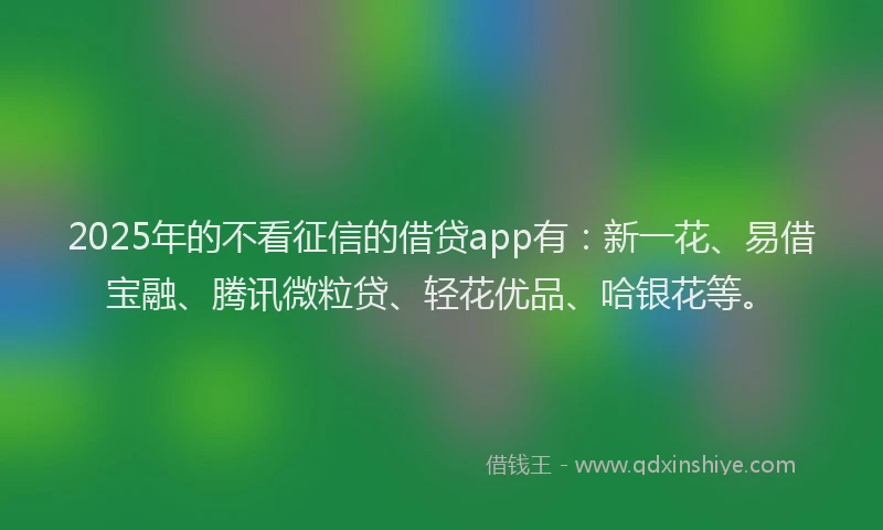 2025年的不看征信的借贷app有：新一花、易借宝融、腾讯微粒贷、轻花优品、哈银花等。