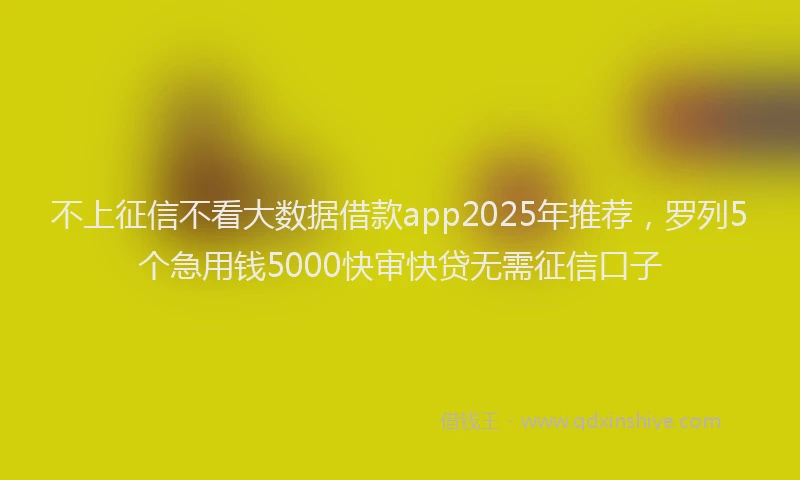 不上征信不看大数据借款app2025年推荐，罗列5个急用钱5000快审快贷无需征信口子