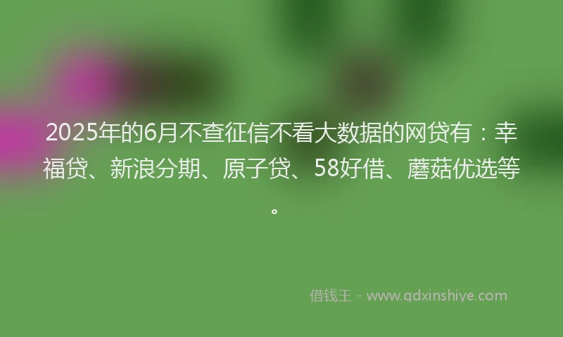 2025年的6月不查征信不看大数据的网贷有：幸福贷、新浪分期、原子贷、58好借、蘑菇优选等。