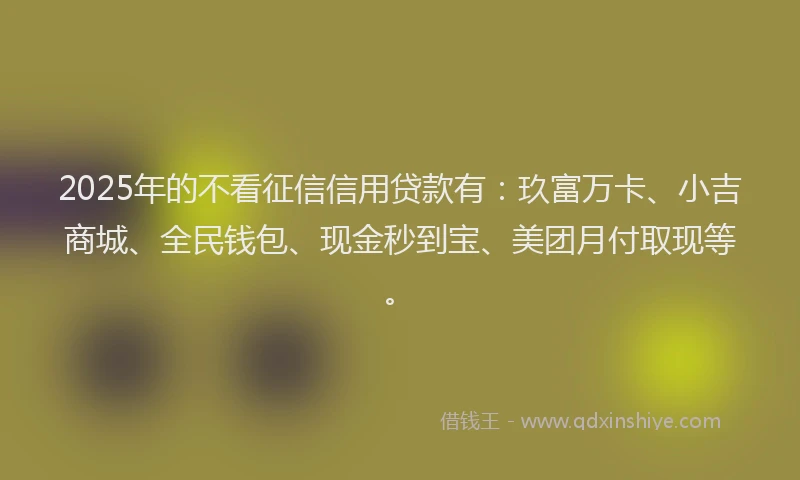 2025年的不看征信信用贷款有：玖富万卡、小吉商城、全民钱包、现金秒到宝、美团月付取现等。