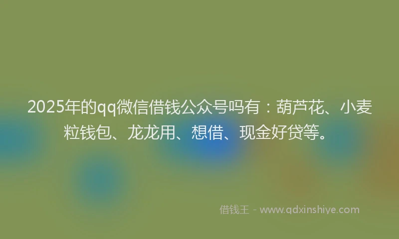 2025年的qq微信借钱公众号吗有：葫芦花、小麦粒钱包、龙龙用、想借、现金好贷等。
