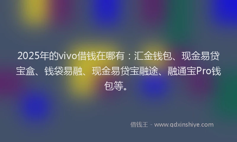 2025年的vivo借钱在哪有：汇金钱包、现金易贷宝盒、钱袋易融、现金易贷宝融途、融通宝Pro钱包等。