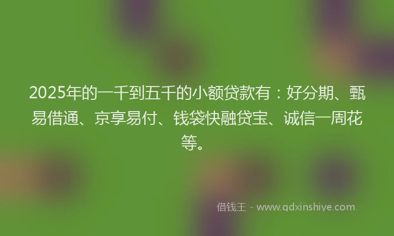 2025年的一千到五千的小额贷款有：好分期、甄易借通、京享易付、钱袋快融贷宝、诚信一周花等。