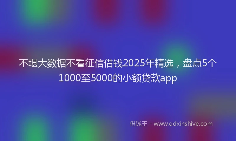 不堪大数据不看征信借钱2025年精选，盘点5个1000至5000的小额贷款app