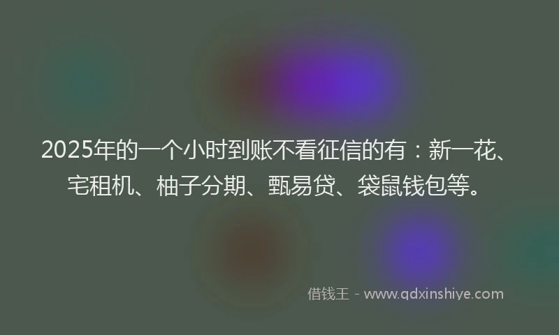 2025年的一个小时到账不看征信的有：新一花、宅租机、柚子分期、甄易贷、袋鼠钱包等。