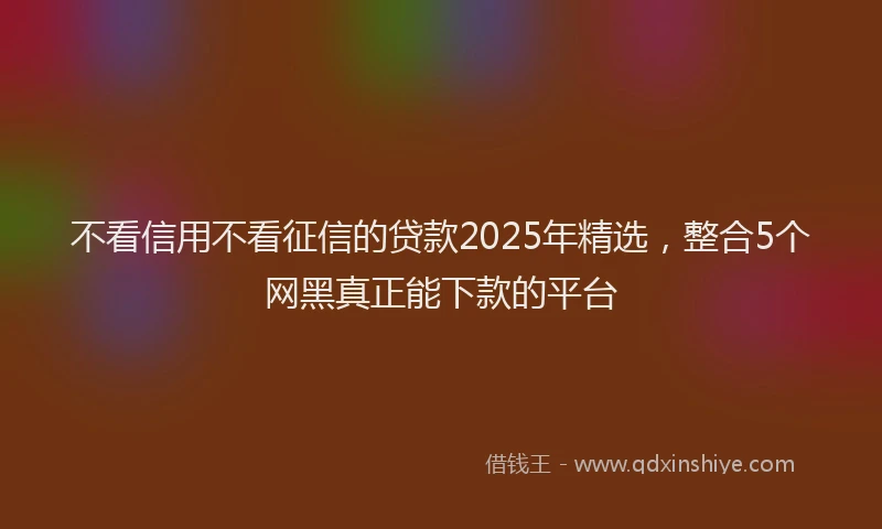 不看信用不看征信的贷款2025年精选，整合5个网黑真正能下款的平台