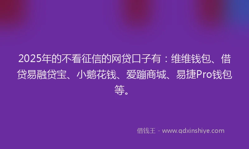2025年的不看征信的网贷口子有：维维钱包、借贷易融贷宝、小鹅花钱、爱蹦商城、易捷Pro钱包等。