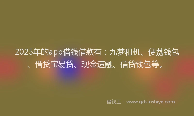 2025年的app借钱借款有：九梦租机、便荔钱包、借贷宝易贷、现金速融、信贷钱包等。