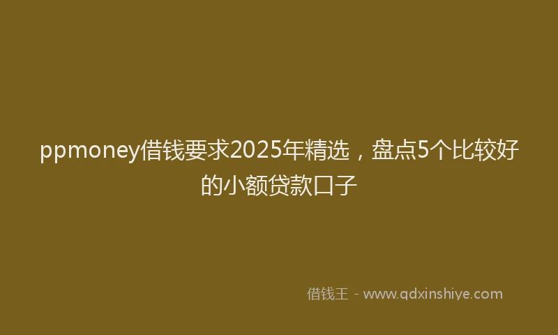 ppmoney借钱要求2025年精选，盘点5个比较好的小额贷款口子