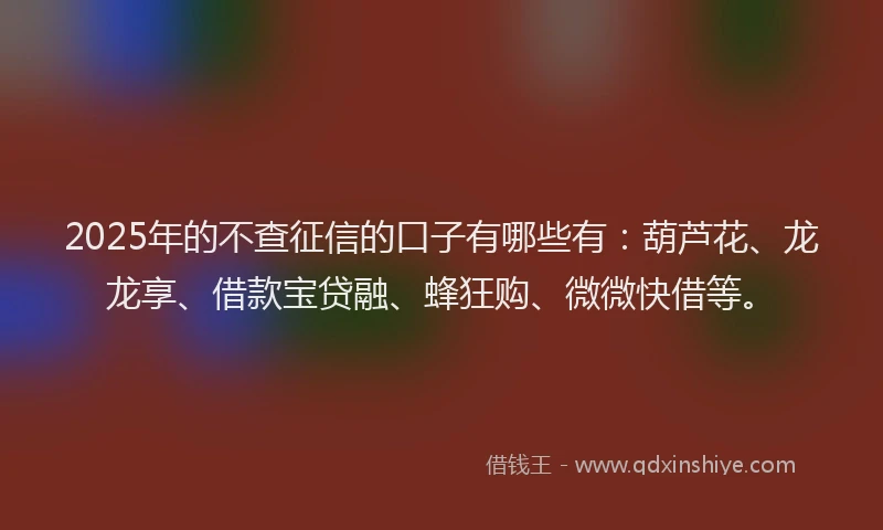 2025年的不查征信的口子有哪些有：葫芦花、龙龙享、借款宝贷融、蜂狂购、微微快借等。