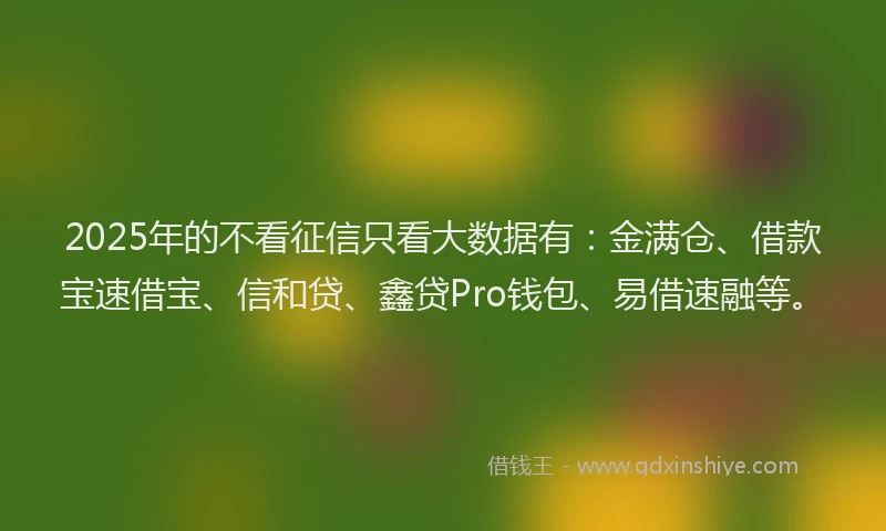 2025年的不看征信只看大数据有：金满仓、借款宝速借宝、信和贷、鑫贷Pro钱包、易借速融等。