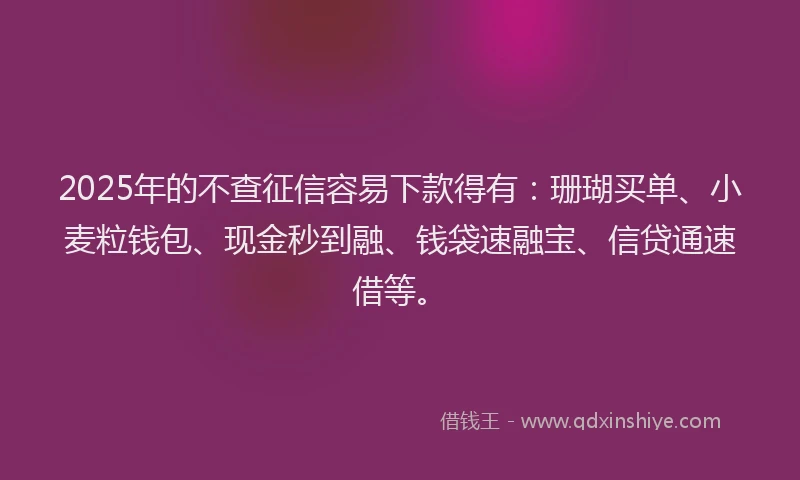 2025年的不查征信容易下款得有：珊瑚买单、小麦粒钱包、现金秒到融、钱袋速融宝、信贷通速借等。