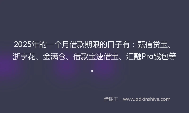 2025年的一个月借款期限的口子有：甄信贷宝、浙享花、金满仓、借款宝速借宝、汇融Pro钱包等。