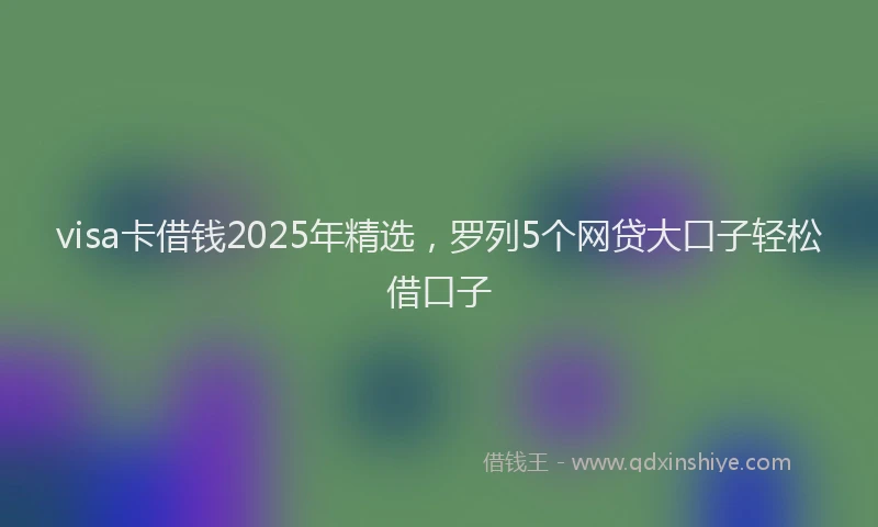 visa卡借钱2025年精选，罗列5个网贷大口子轻松借口子