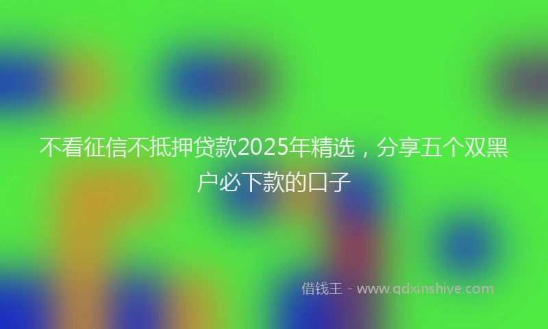 不看征信不抵押贷款2025年精选，分享五个双黑户必下款的口子