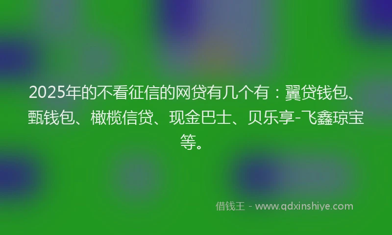 2025年的不看征信的网贷有几个有：翼贷钱包、甄钱包、橄榄信贷、现金巴士、贝乐享-飞鑫琼宝等。