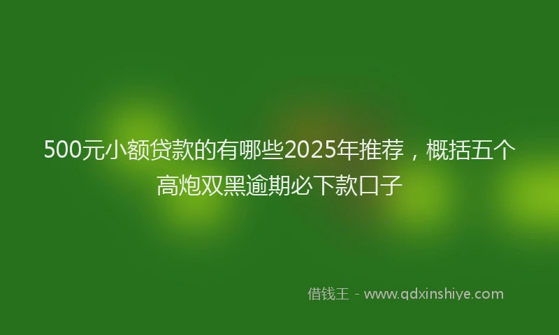 500元小额贷款的有哪些2025年推荐，概括五个高炮双黑逾期必下款口子