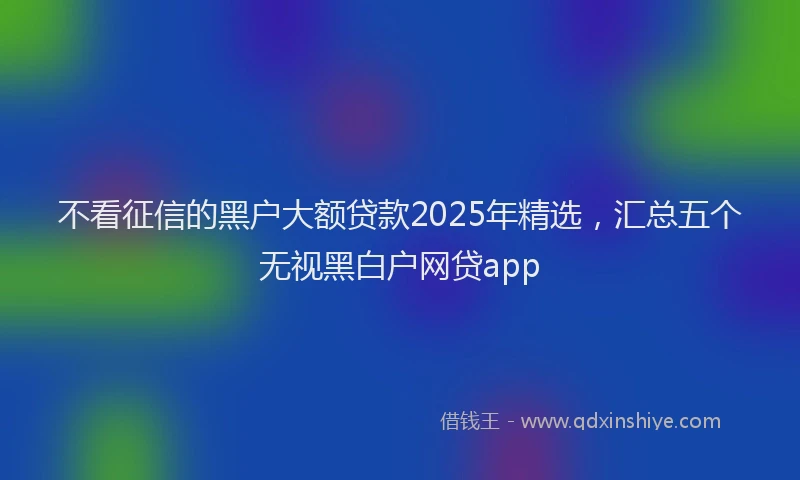 不看征信的黑户大额贷款2025年精选，汇总五个无视黑白户网贷app