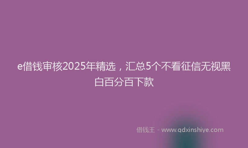 e借钱审核2025年精选，汇总5个不看征信无视黑白百分百下款