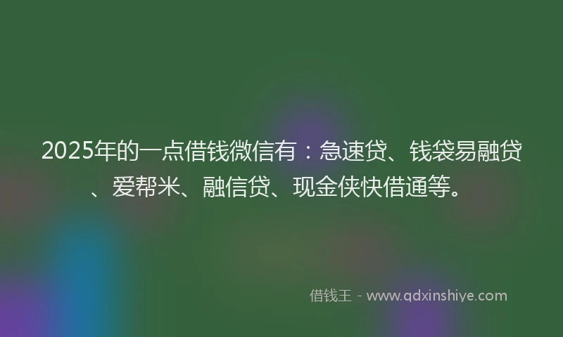2025年的一点借钱微信有：急速贷、钱袋易融贷、爱帮米、融信贷、现金侠快借通等。
