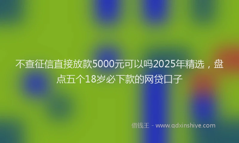 不查征信直接放款5000元可以吗2025年精选，盘点五个18岁必下款的网贷口子