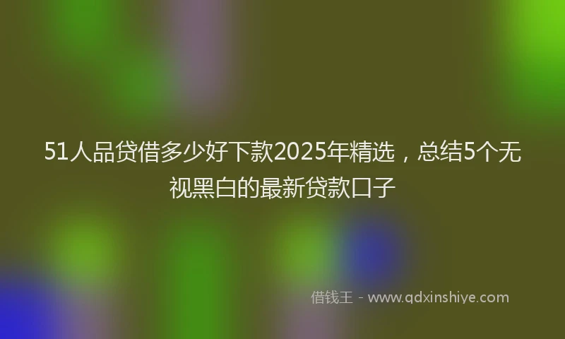 51人品贷借多少好下款2025年精选，总结5个无视黑白的最新贷款口子