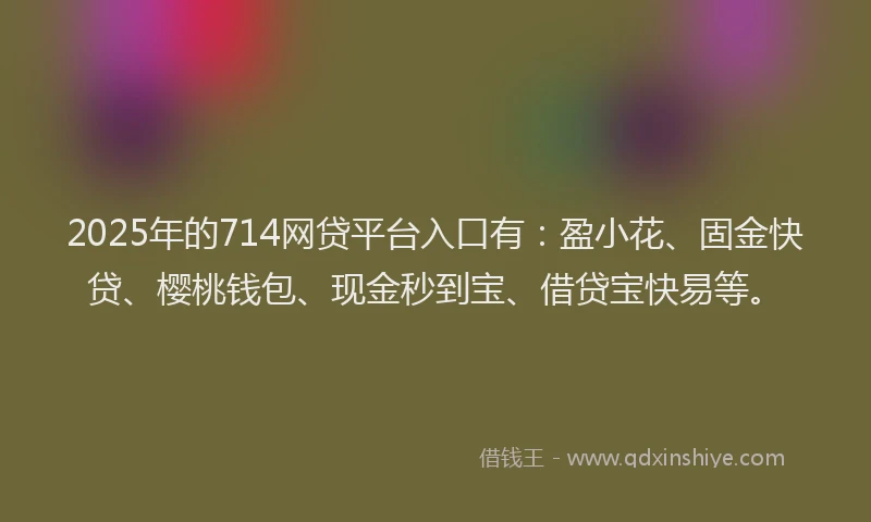 2025年的714网贷平台入口有：盈小花、固金快贷、樱桃钱包、现金秒到宝、借贷宝快易等。