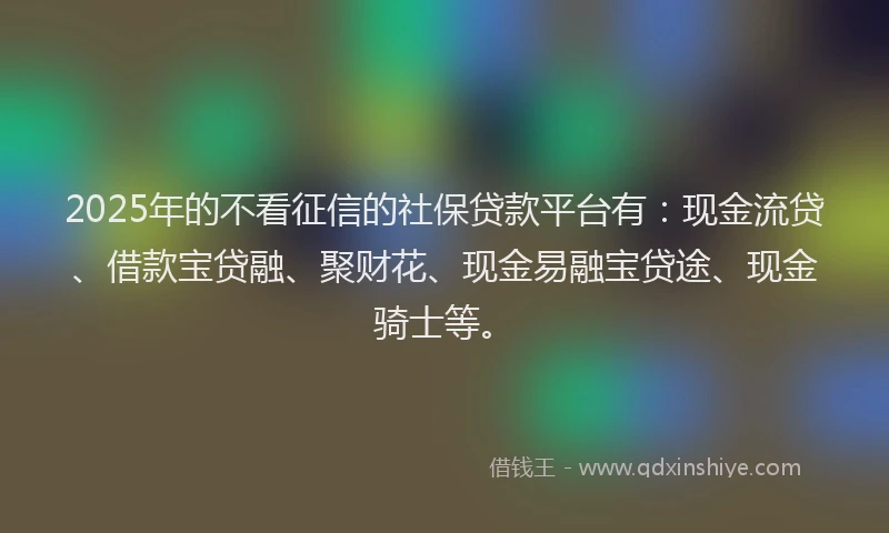 2025年的不看征信的社保贷款平台有：现金流贷、借款宝贷融、聚财花、现金易融宝贷途、现金骑士等。