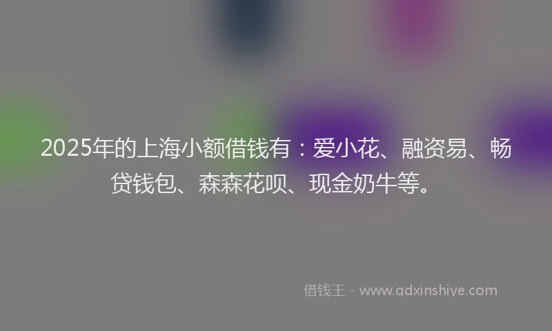 2025年的上海小额借钱有：爱小花、融资易、畅贷钱包、森森花呗、现金奶牛等。