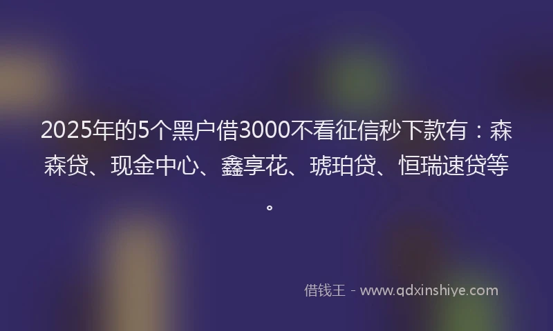 2025年的5个黑户借3000不看征信秒下款有：森森贷、现金中心、鑫享花、琥珀贷、恒瑞速贷等。