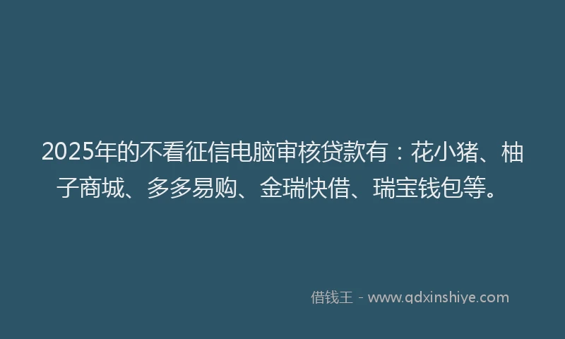 2025年的不看征信电脑审核贷款有：花小猪、柚子商城、多多易购、金瑞快借、瑞宝钱包等。