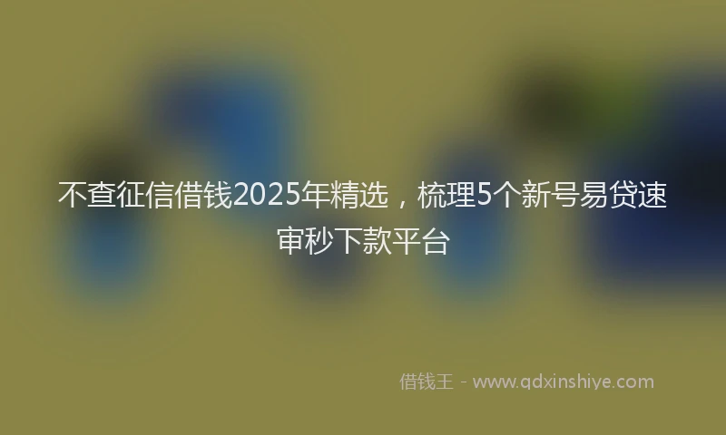 不查征信借钱2025年精选，梳理5个新号易贷速审秒下款平台