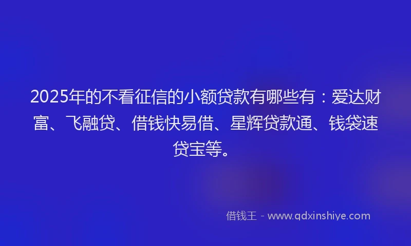 2025年的不看征信的小额贷款有哪些有：爱达财富、飞融贷、借钱快易借、星辉贷款通、钱袋速贷宝等。