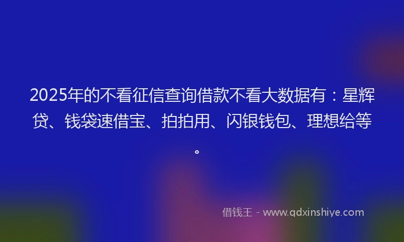 2025年的不看征信查询借款不看大数据有：星辉贷、钱袋速借宝、拍拍用、闪银钱包、理想给等。