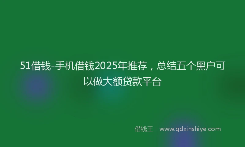 51借钱-手机借钱2025年推荐，总结五个黑户可以做大额贷款平台