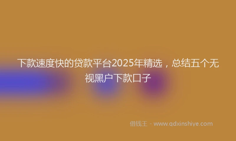 下款速度快的贷款平台2025年精选，总结五个无视黑户下款口子