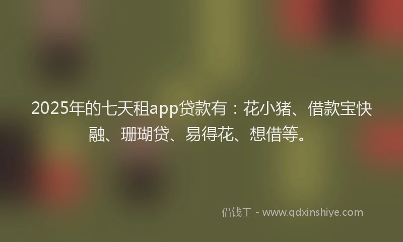2025年的七天租app贷款有：花小猪、借款宝快融、珊瑚贷、易得花、想借等。