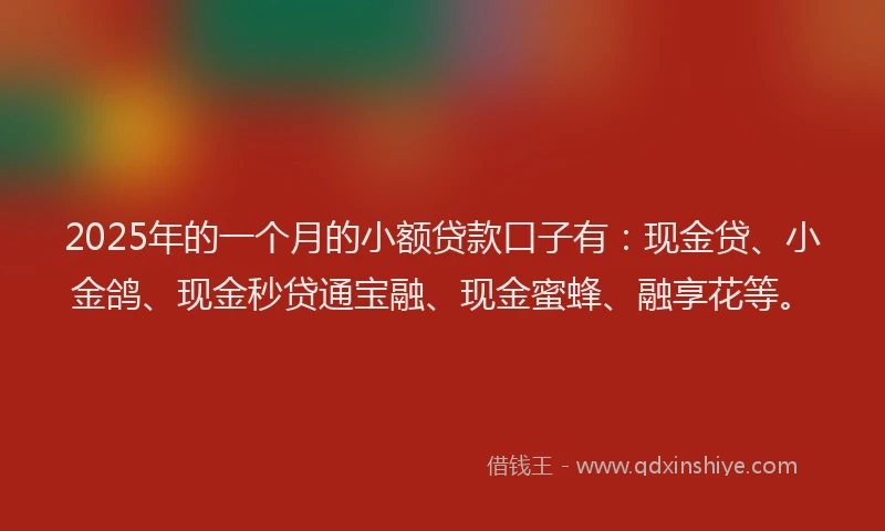 2025年的一个月的小额贷款口子有：现金贷、小金鸽、现金秒贷通宝融、现金蜜蜂、融享花等。