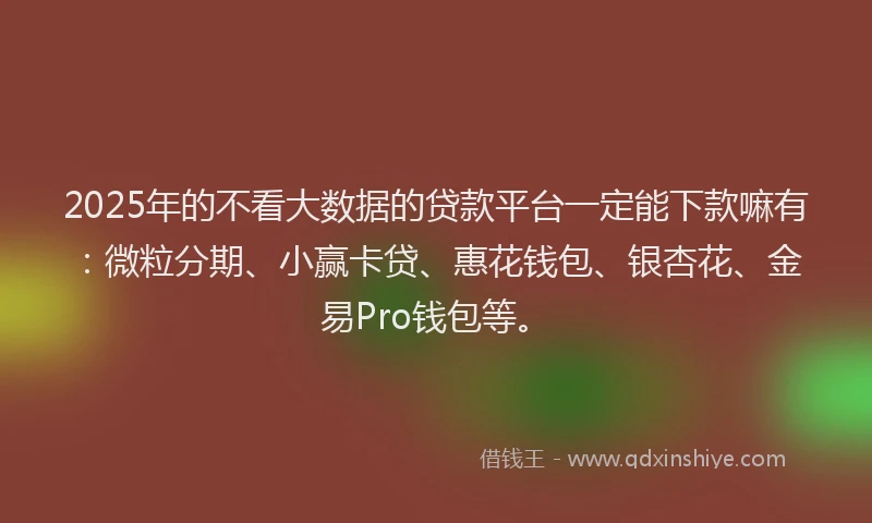 2025年的不看大数据的贷款平台一定能下款嘛有：微粒分期、小赢卡贷、惠花钱包、银杏花、金易Pro钱包等。