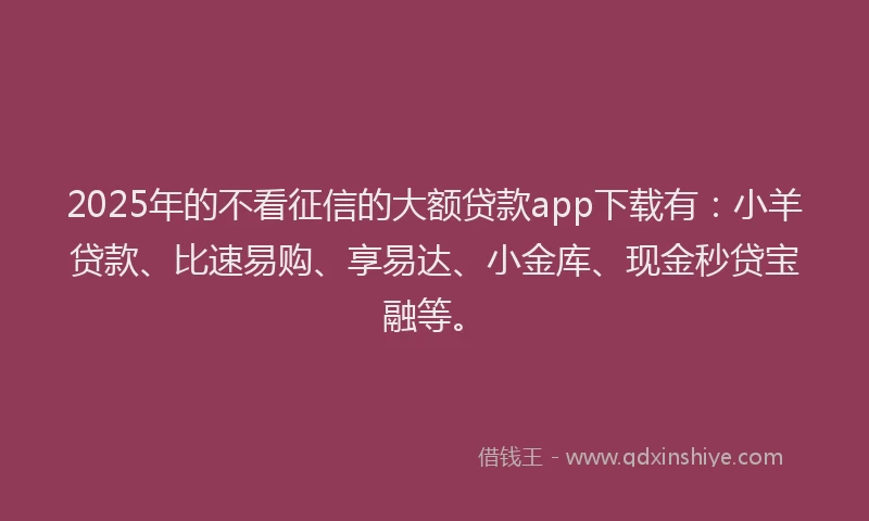 2025年的不看征信的大额贷款app下载有：小羊贷款、比速易购、享易达、小金库、现金秒贷宝融等。