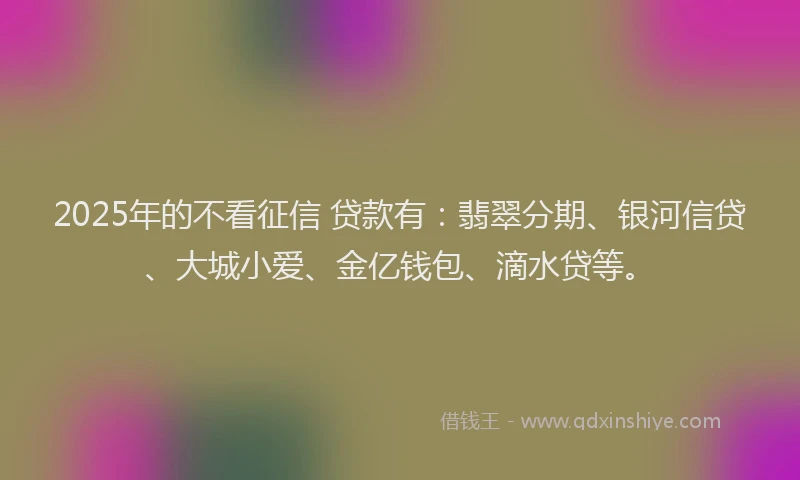 2025年的不看征信 贷款有：翡翠分期、银河信贷、大城小爱、金亿钱包、滴水贷等。