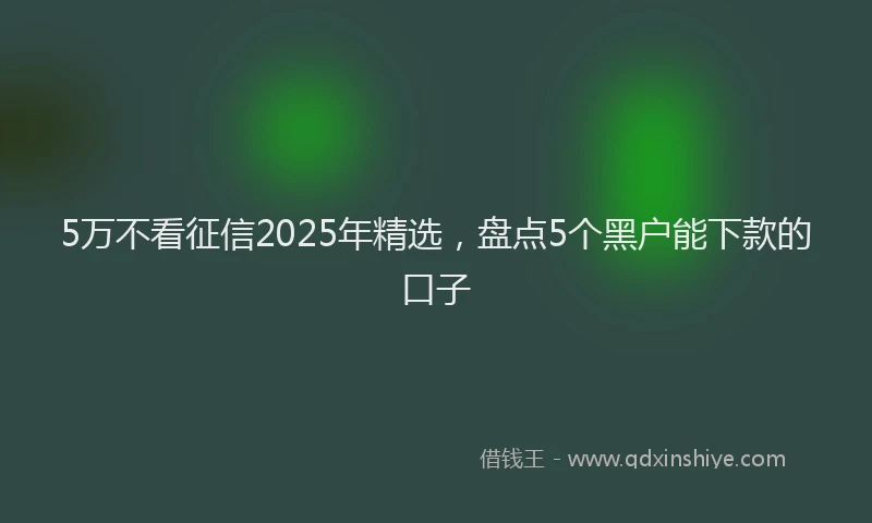 5万不看征信2025年精选，盘点5个黑户能下款的口子