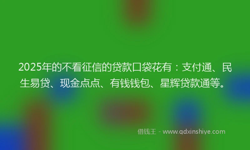 2025年的不看征信的贷款口袋花有：支付通、民生易贷、现金点点、有钱钱包、星辉贷款通等。