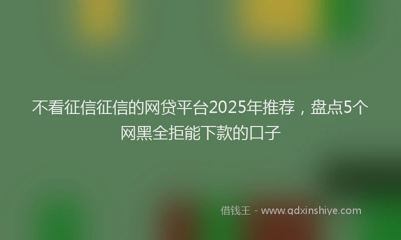 不看征信征信的网贷平台2025年推荐，盘点5个网黑全拒能下款的口子