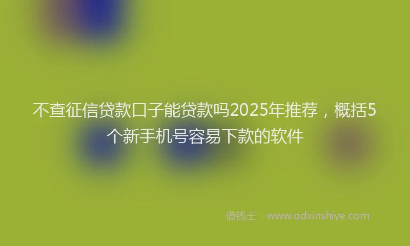 不查征信贷款口子能贷款吗2025年推荐，概括5个新手机号容易下款的软件