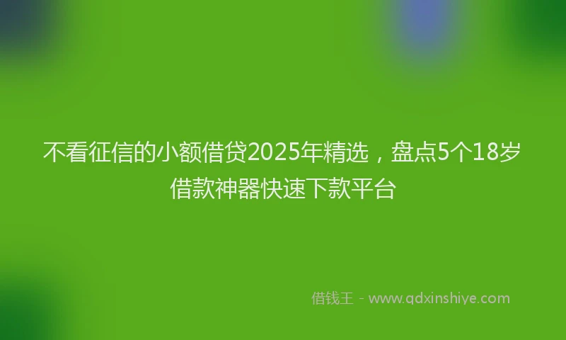 不看征信的小额借贷2025年精选，盘点5个18岁借款神器快速下款平台