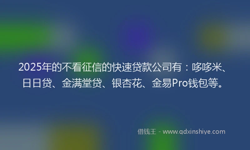 2025年的不看征信的快速贷款公司有：哆哆米、日日贷、金满堂贷、银杏花、金易Pro钱包等。